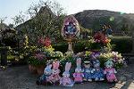 Dcim13206/DSC_2620