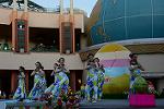 Dcim13206/DSC_2733
