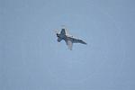 Dcim13229/DSC_5239