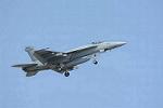 Dcim13229/DSC_5303