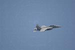 Dcim13229/DSC_5397