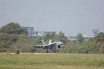Dcim13229/DSC_5412