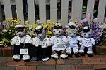 Dcim13235/DSC_6073