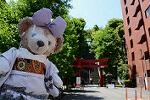 Dcim13271/DSC_0266