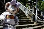 Dcim13271/DSC_0269