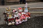Dcim13272/DSC_0509