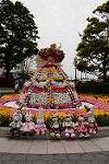 Dcim13274/DSC_0655