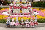 Dcim13274/DSC_0657
