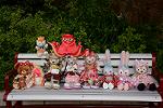 Dcim13274/DSC_0704