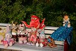 Dcim13274/DSC_0729