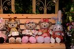 Dcim13274/DSC_0745