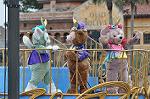 Dcim13284/DSC_1303