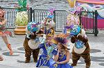 Dcim13284/DSC_1369