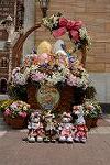Dcim13286/DSC_1759