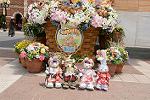 Dcim13286/DSC_1764