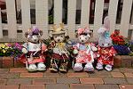 Dcim13287/DSC_1830