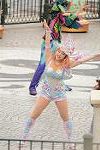 Dcim13289/DSC_2080