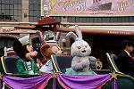 Dcim13290/DSC_2243