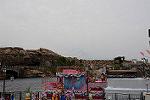 Dcim13291/DSC_2424