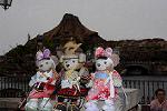 Dcim13292/DSC_2503
