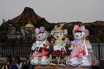 Dcim13292/DSC_2504
