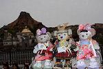 Dcim13292/DSC_2507