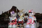 Dcim13292/DSC_2508