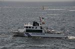 Dcim13302/DSC_1992