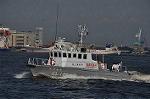 Dcim13304/DSC_2222