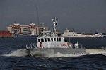 Dcim13304/DSC_2229