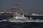 Dcim13304/DSC_2241