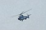 Dcim13315/DSC_2647