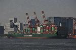 Dcim13319/DSC_3049