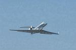 Dcim13321/DSC_4196