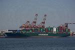 Dcim13323/DSC_4082