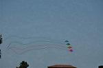 Dcim13330/DSC_3188