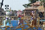 Dcim13330/DSC_3257