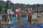 Dcim13331/DSC_3274