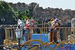 Dcim13331/DSC_3281