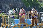 Dcim13331/DSC_3300
