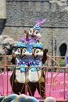 Dcim13341/DSC_5916