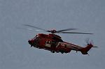 Dcim13354/DSC_3560