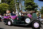 Dcim13394/DSC_2536