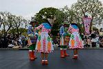 Dcim13407/DSC_4034