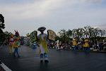Dcim13408/DSC_4098