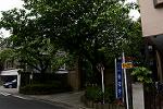 Dcim13414/DSC_5025