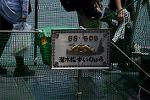 Dcim13415/DSC_5234