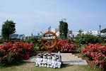 Dcim13419/DSC_5891