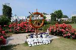 Dcim13419/DSC_5892
