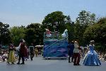 Dcim13427/DSC_6428